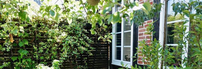 Terrasse am Haus