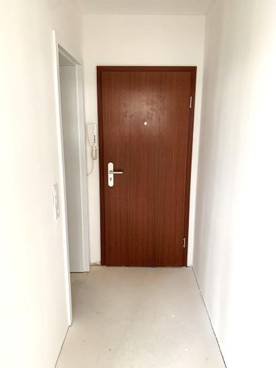 Wohnungseingangstüre/Gäste WC