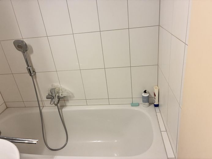 1-Zimmer Appartement in Frankfurt Sachsenhausen | Balkon | Möbliert | Leerstehend – Bad 3