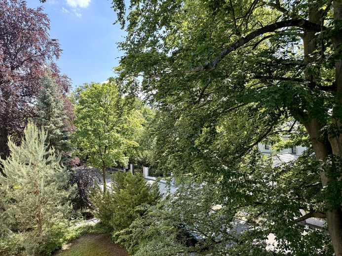 Wannsee · Erstbezug nach Kernsanierung · 3-Zi-Wohnung mit Süd-West-Balkon im Grünen · provisionsfrei – Blick ins Grüne