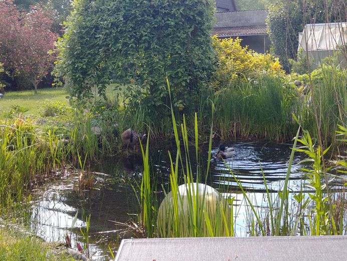 Semi-detached house in Langenhorn, sale in 1 year, hereditary lease – Foto 8