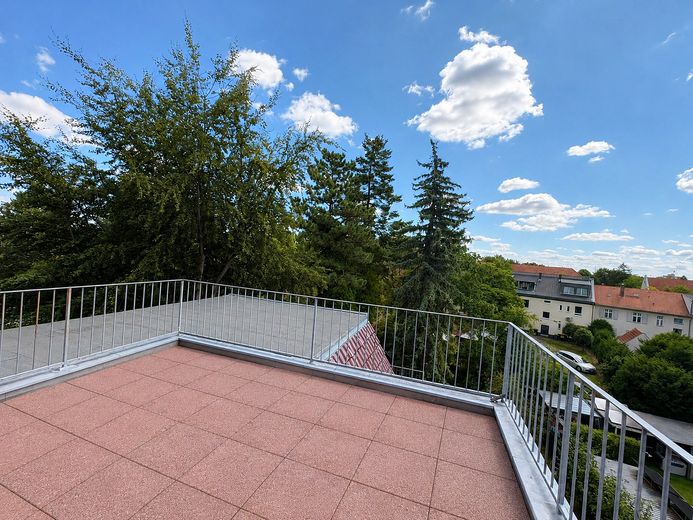 Großzügige lichtdurchflutete 4-Zi Wohnung mit EBK, Balkon und Dachterrasse – Dachterasse