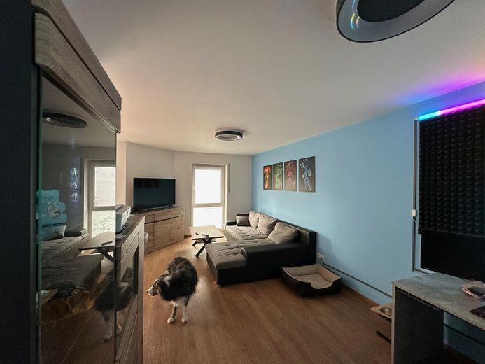 Wohnen vom Eingangsbereich aus