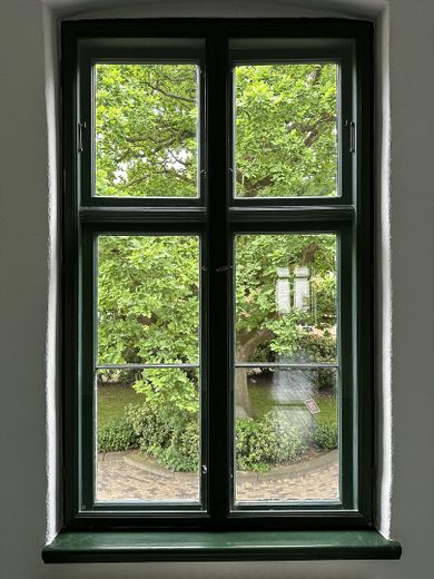 Blick auf die alte Eiche