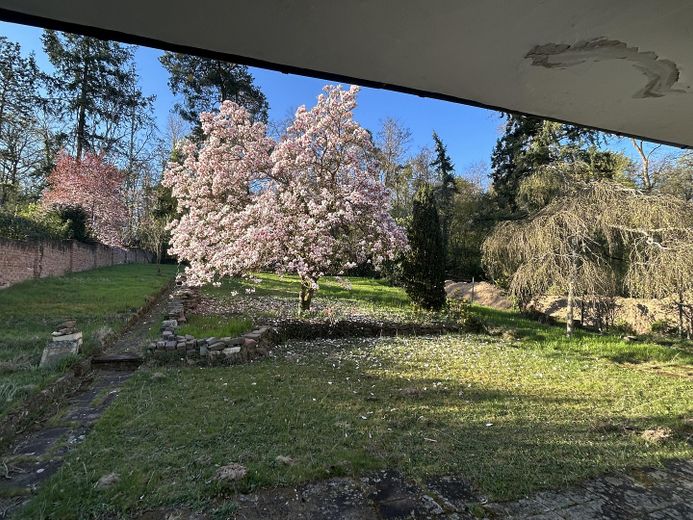 Blick in den Garten