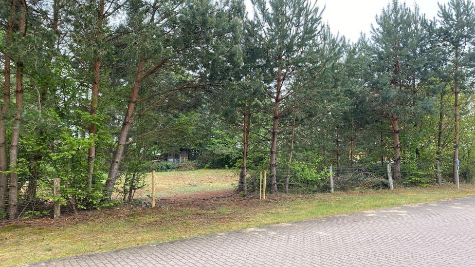 1.254 m² Baugrundstück nahe Stechlinsee – teilbar , ruhige Lage (provisionsfrei) – Foto 17