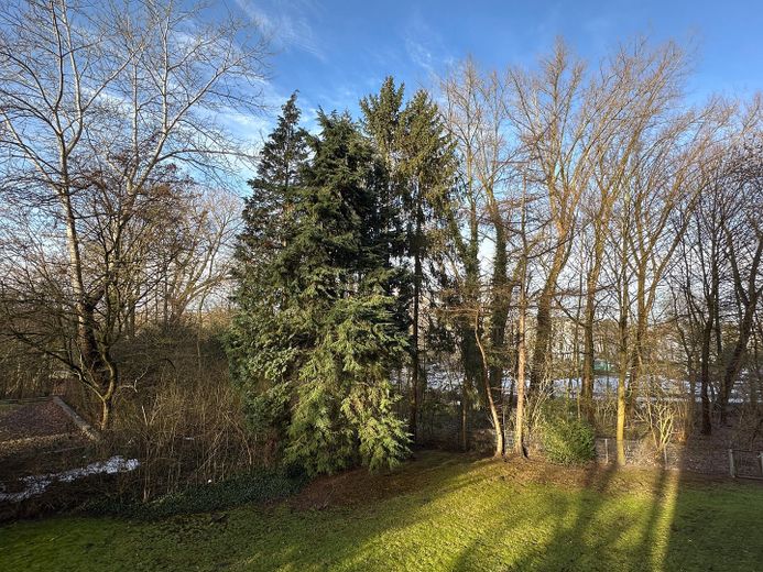 Blick auf den Eichtalpark