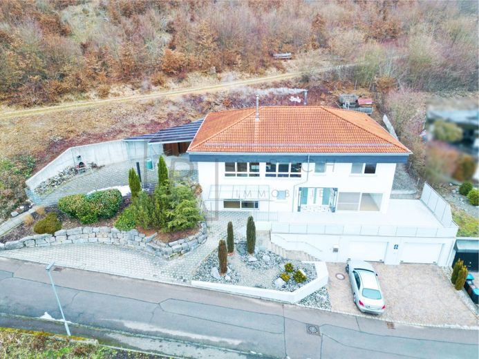 Massiv gebautes Wohnhaus mit Einliegerwohnung, Kamin und Waldrandlage – Drohnenaufnahmen