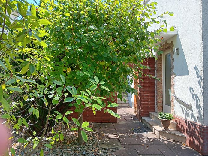 Worms Innenstadt-West'te müstakil 1 aile evi, büyük bahçe – Foto 4