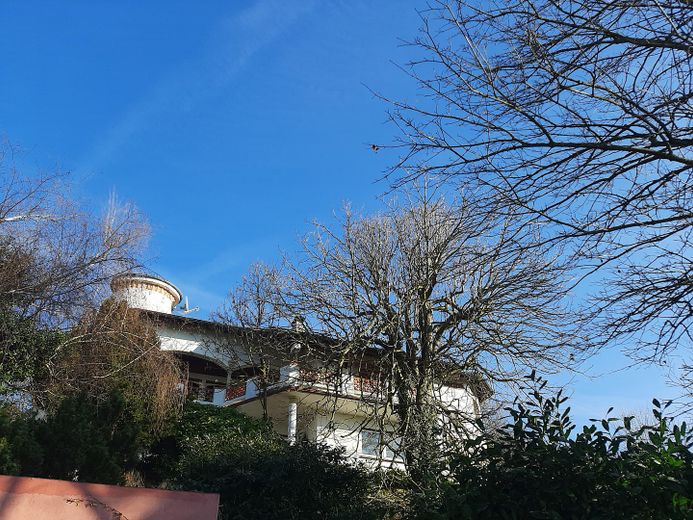 Hausansicht von Straße