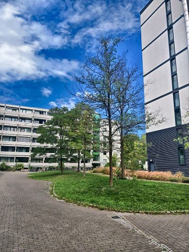 Appartamento di 2 locali a Haidhausen – Außenansicht (Innenhof)