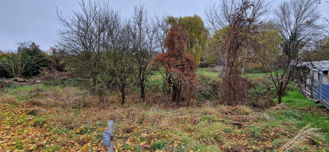 Wustermark, Berliner Allee’de imarsız arsa – Blick von Straße