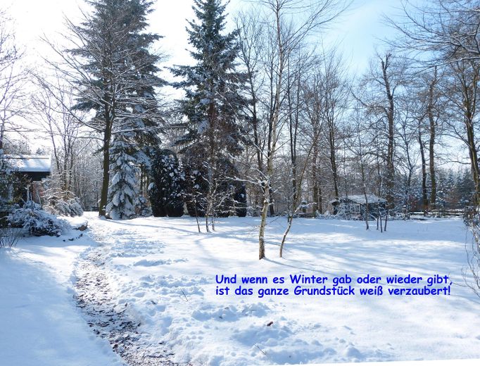 Das ganze Grundstück im Schnee