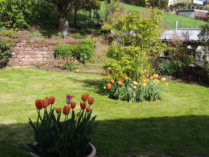 Freistehendes Niedrigenergie-EFH in Massivbauweise zwischen Pirmasens und Zweibrücken – Garten