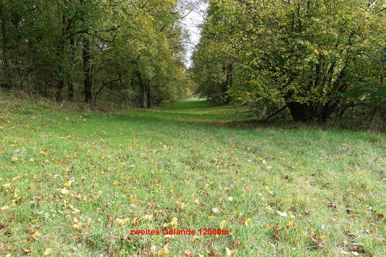 Domaine rural isolé avec infrastructure autonome – 4 ha, fonctionnement en îlot, autosuffisance | Sans agent immobilier – 2tes Grundstück