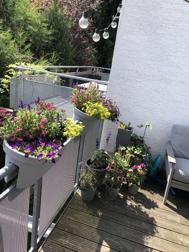 Terasse OG / Balkon ELW