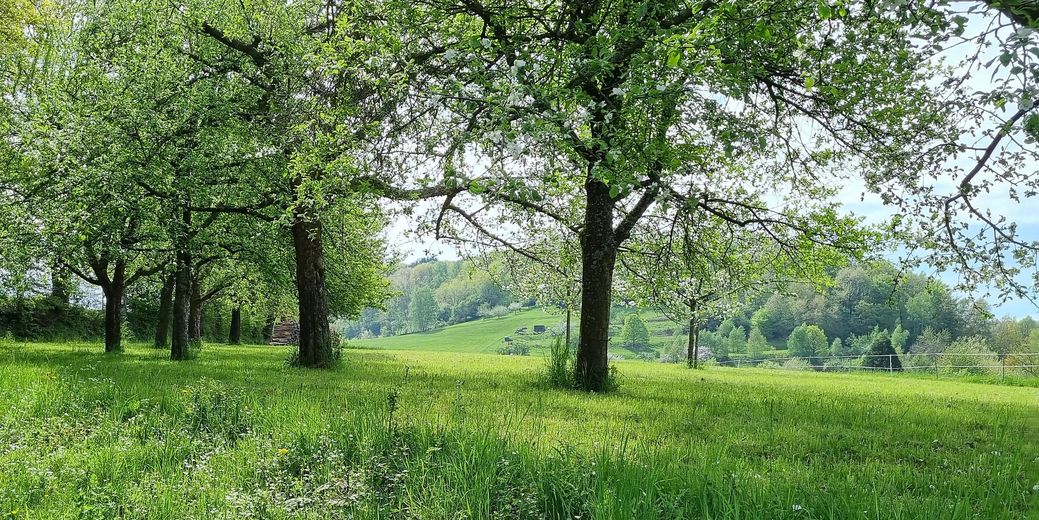 Herrschaftliches ehemaliges Pfarrhaus, Anno 1801 – Denkmal, Fördermöglichkeiten & Steuervorteile – Impressionen Spazierweg