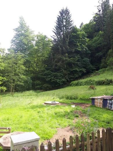 Alleinlage im Pfälzer Wald - hier ist alles ist hier möglich. – Weide