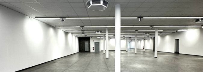 Fläche