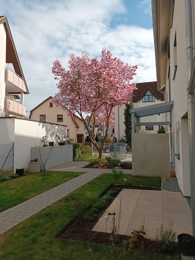 Exklusiv, ökologisch, barrierefrei im EG, ruhig, zentral, nahe Mercedes, für Paare, Rentner, Singles – Terrasse W2 im Garten