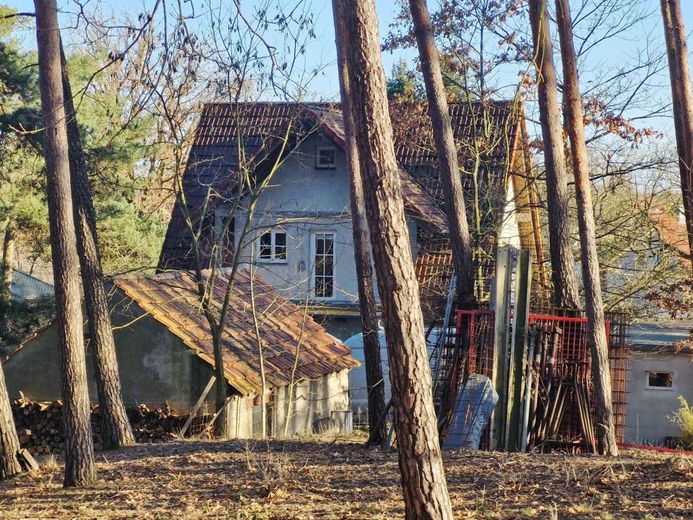 Wohnen im eigenen 1,8‑Hektar‑Wald – Haus mit üppigen Baumbestand
