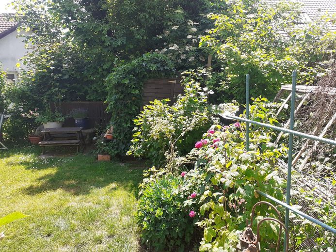 Gepflegte Doppelhaushälfte mit Einliegerwohnung in ruhiger Ortsrandlage von Ulm-Mähringen – Gartenansicht 2