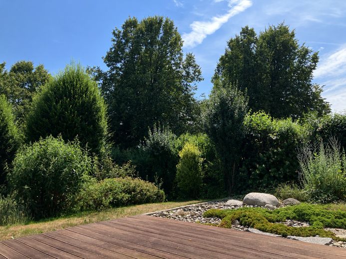 Wunderschönes Einfamilienhaus mit Potenzial: Ein Wohntraum für jeden - Keine Maklerprovision! – Terrasse
