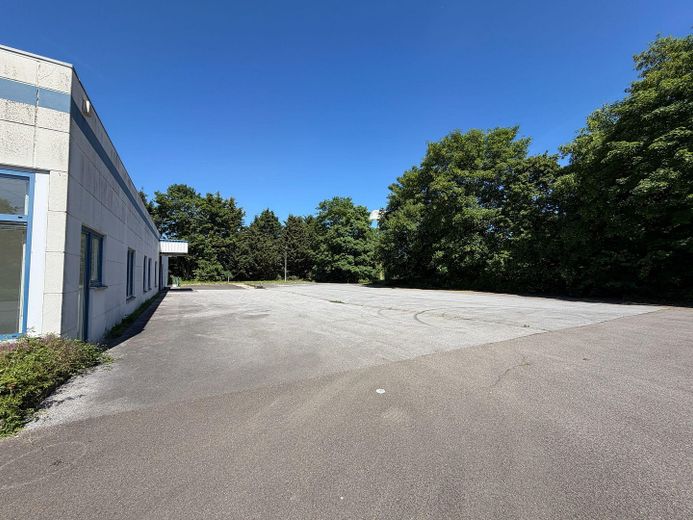 Gewerbehalle mit Bürofläche in Minden –sofort verfügbar/optimale Erreichbarkeit (Kreuz B428/B65) – Foto 7