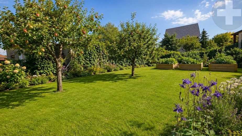 So könnte Ihr Gartenparadies schon bald aussehen
