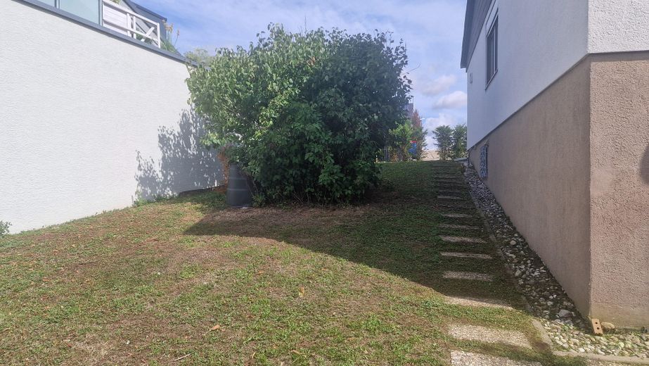Detached house Oberderdingen – Gras ,Bäume und Büsche