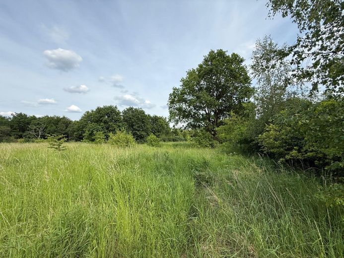 MAKLERFREI Projektstart sofort möglich: ca. 7.000 m² Gewerbegrundstück mit erteilter Baugenehmigung – Foto 12