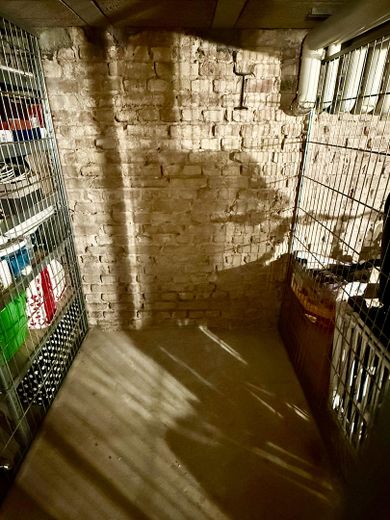 Provisionsfrei: 89m² Altbau am Helmholzplatz, Balkon, bezugsfrei – Keller