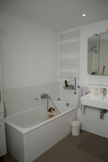 Reihenmittelhaus am Waldrand – Foto 15