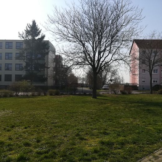 Esche (?) Süd