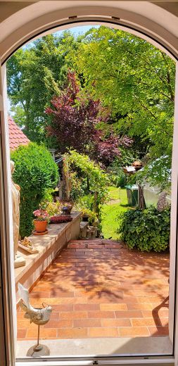 Blick in den hinteren Garten