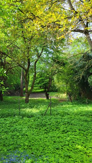 Unser neues Zuhause - direkt einziehen und wohlfühlen! – angrenzendes Naturgrundstück
