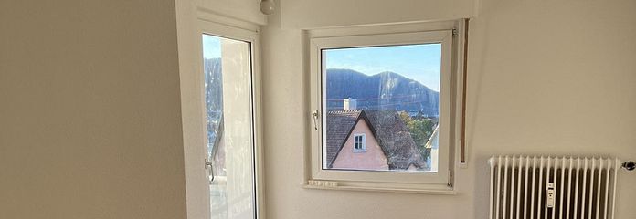 Stilvolle, neu sanierte 1-Zimmer Wohnung inkl. Balkon und EBK – Wohn- und Schlafzimmer