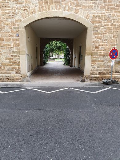 Blick vom Hauseingang zum Park