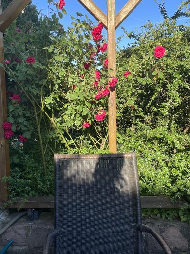 Provisionsfrei, EINFAMILIENHAUS MIT GARTEN in begehrter Wohngegend Dessau-Ziebigk – Gemütliche Atmosphäre