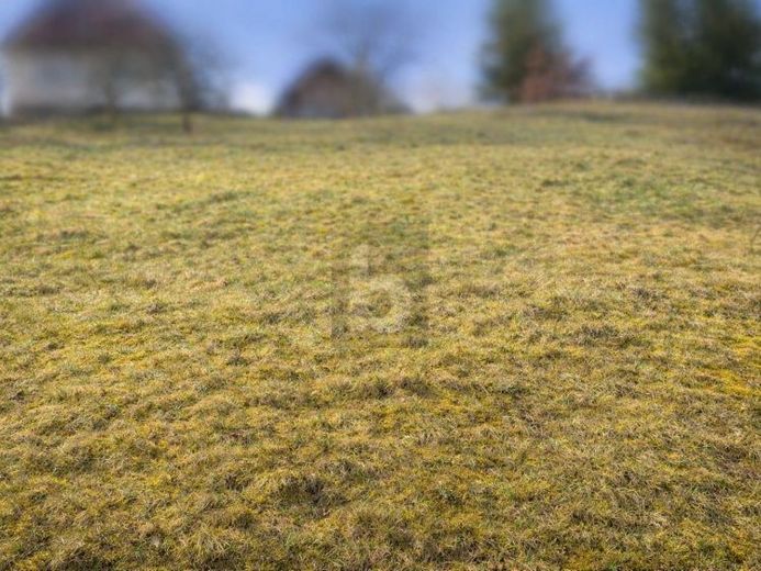 NATURNAH BAUEN IN BAIERSBRONN – Foto 1