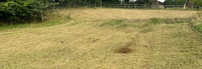 Ora la vostra nuova casa ad Asendorf: terreno edificabile completamente urbanizzato di 840 m² in seconda fila