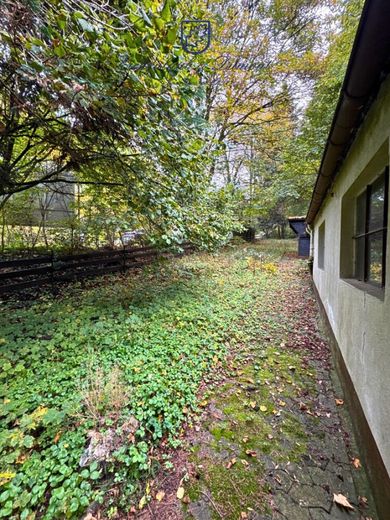 2-3 Familienhaus mit Erweiterungsmöglichkeit in guter Lage von Fechingen – Seitlicher Grundstücksbereich