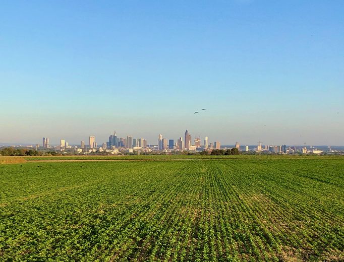 Sonniges Reihenendhaus mit Atelier - ruhige, familienfreundliche Lage, Garten & Blick über Skyline – Spaziergang Steinbacher Feld