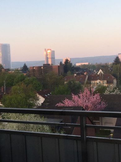 Über den Dächern von Bonn – Foto 3