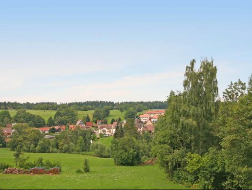 Schömberg - Schöne gepflegte 3 Zimmer Dachgeschosswohnung zu vermieten Whg12 (ID 113) – Ausblick 