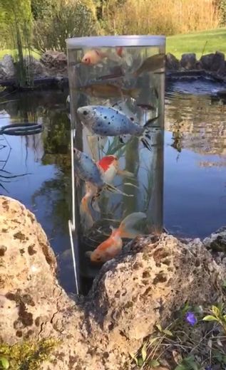 Fischturm im Teich