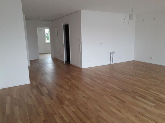 Sonnige, neuwertige 2- Zimmer Wohnung – 3 Küche, Wohnen und Flur