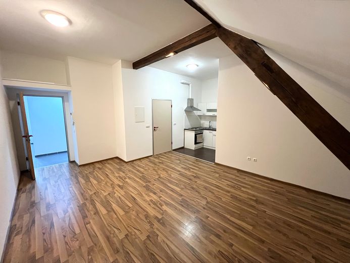 Straubing yakınlarında 11 konut birimli apartman – tamamen kiralanmış ve komisyonsuz – Wohnbeispiel - Wohn/Essbereich