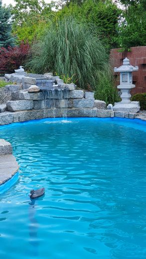 उच्चतम स्तर पर रहना और काम करना—विशिष्ट माहौल वाली एक अनूठी संपत्ति – Pool mit Wasserfall