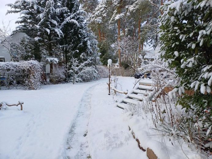 Garten mit Treppe zur Terrasse